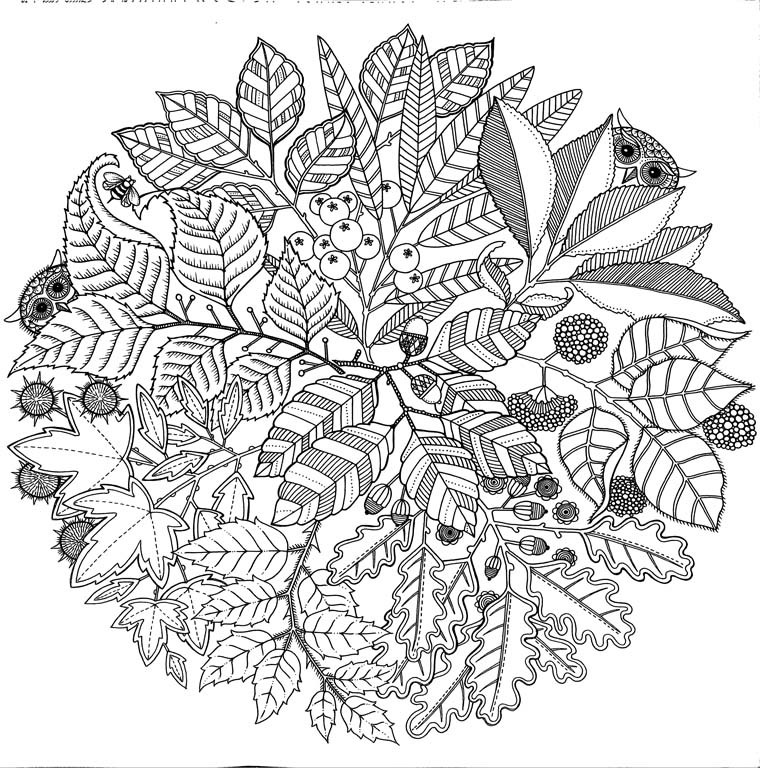 Johanna Basford - Gradina secreta. Carte de colorat si activitati antistres -