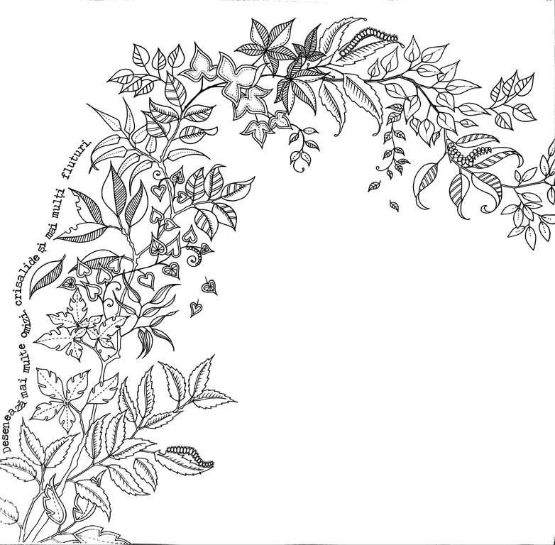 Johanna Basford - Gradina secreta. Carte de colorat si activitati antistres -