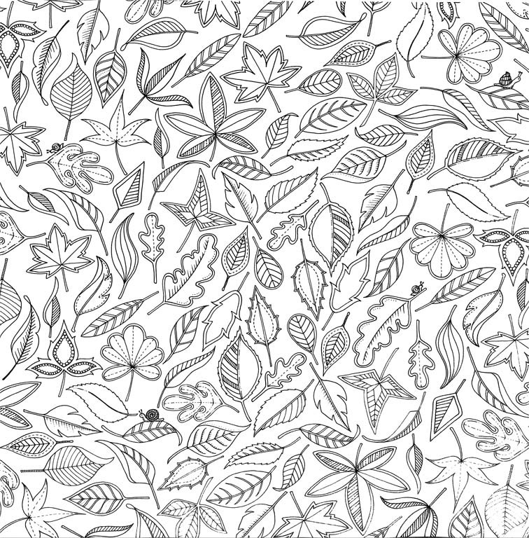 Johanna Basford - Gradina secreta. Carte de colorat si activitati antistres -
