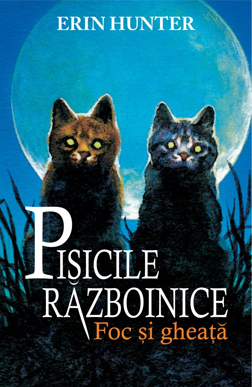 Erin Hunter - Pisicile razboinice, Vol 2: Foc si Gheata -