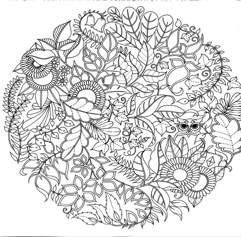Johanna Basford - Padurea fermecata. Carte de colorat si activitati antistres -