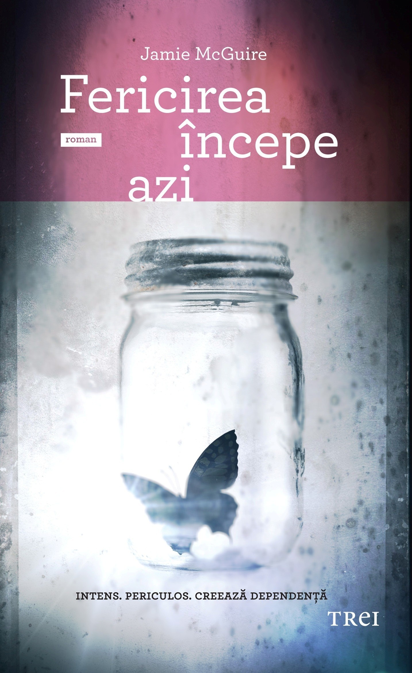 Jamie McGuire - Fericirea incepe azi -